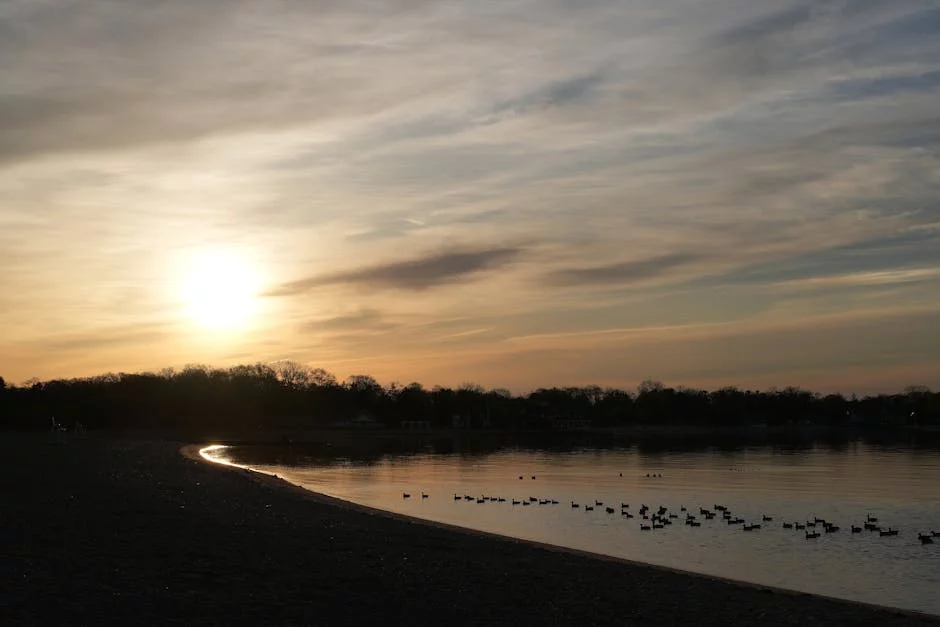 intérieur élégant restaurant sushi japonais